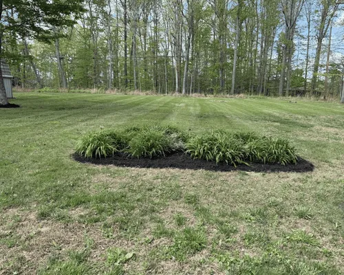 Mulch Installation in Morehead, KY