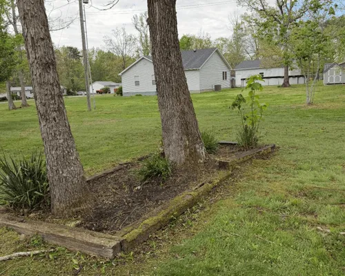 Mulch Installation Morehead, KY