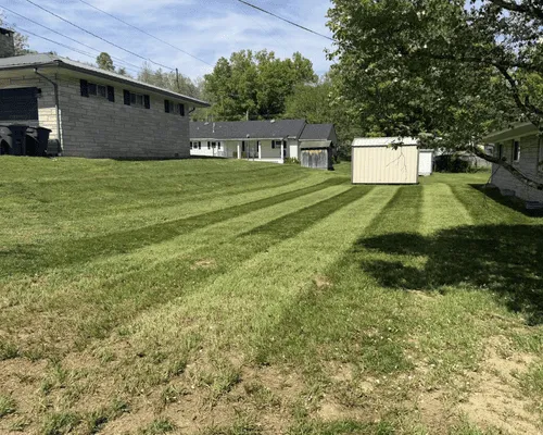 Landscaping Services 