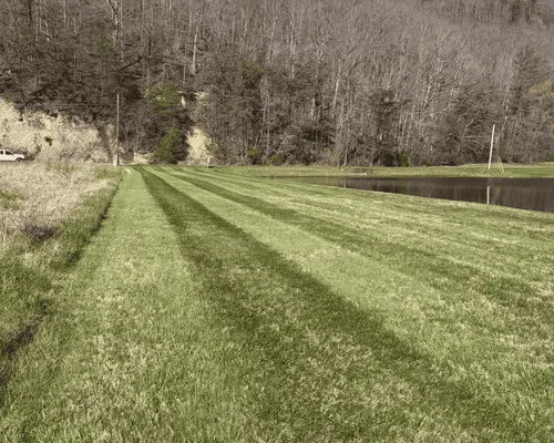  Morehead, KY
