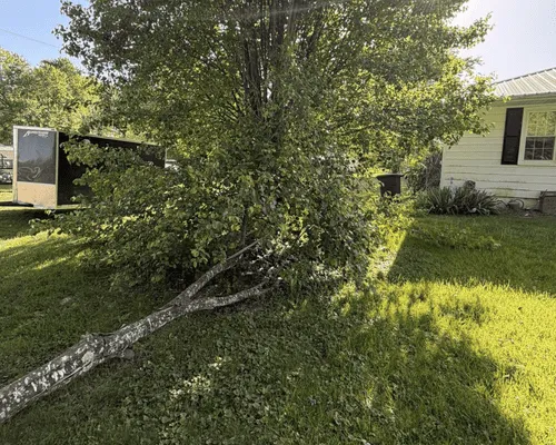 Landscaping Services in Morehead, KY