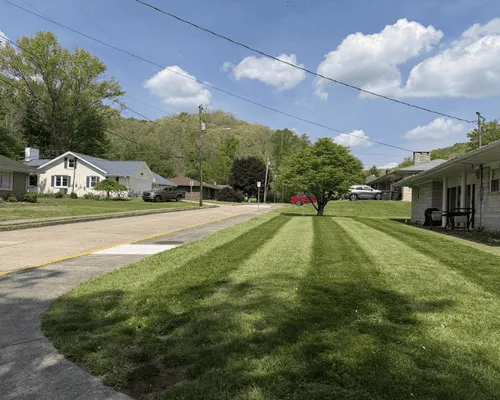  Morehead, KY