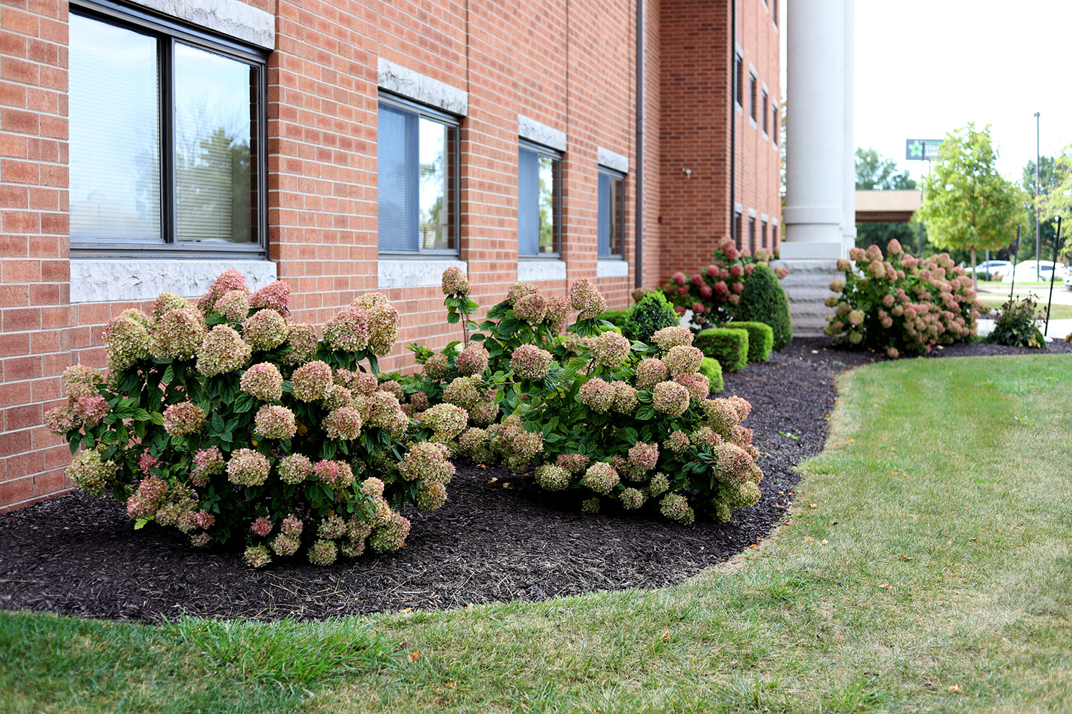  landscape improvement curb appeal fort wayne in