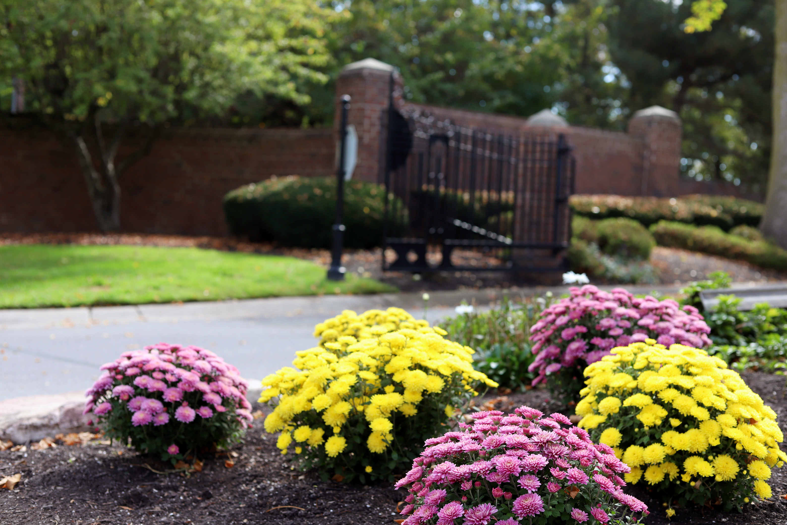 commercial landscape maintenance office property utah