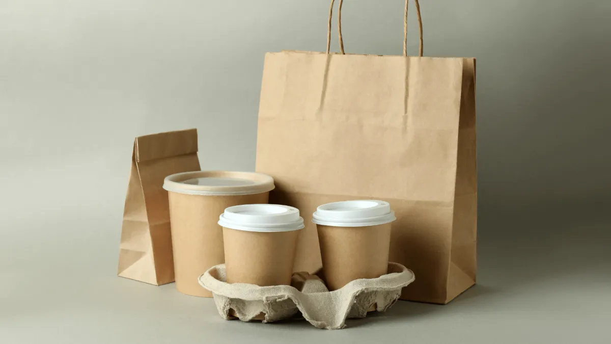 Brown Paper Bags and Containers