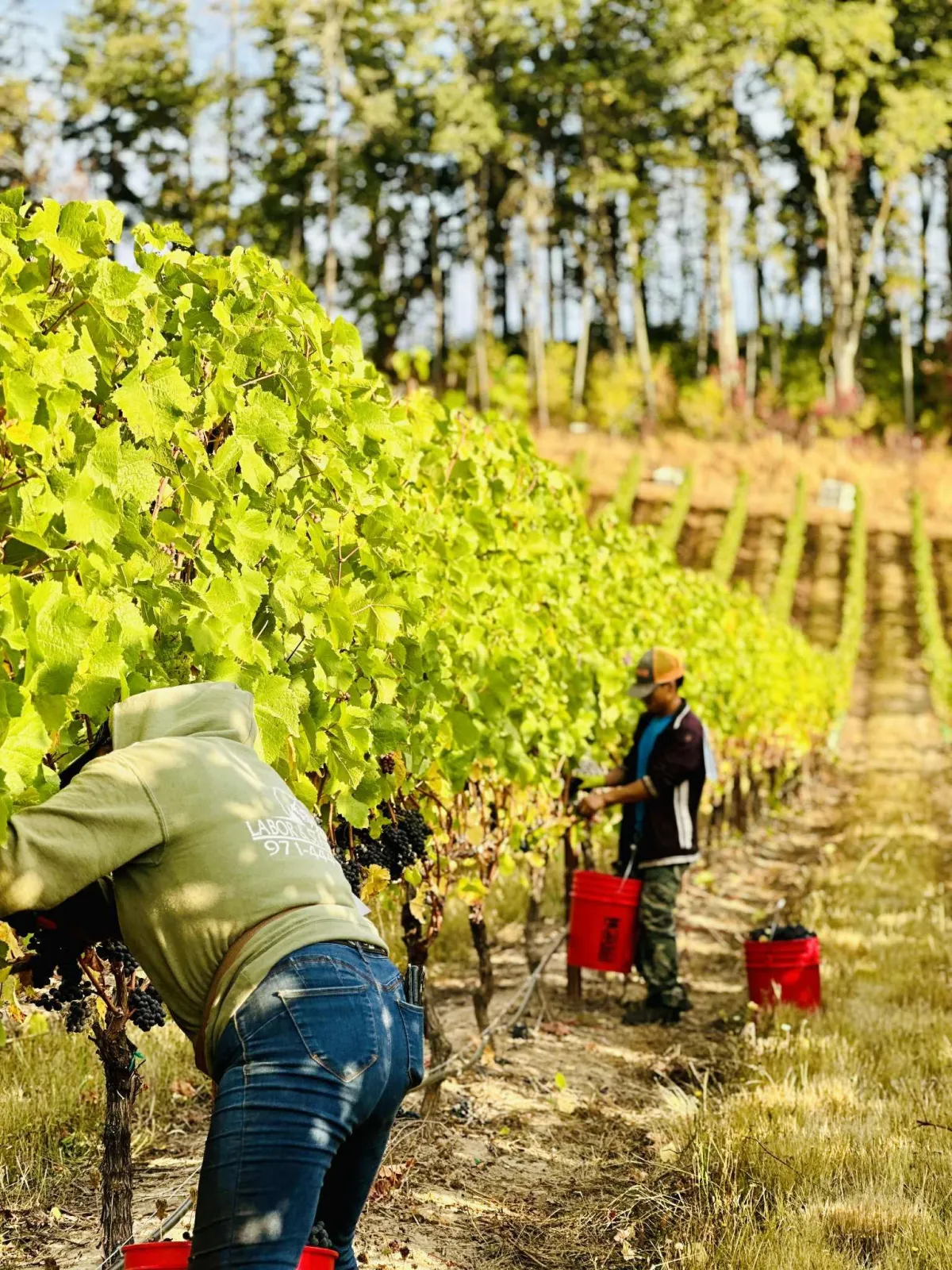 brown pencil on white printing paper