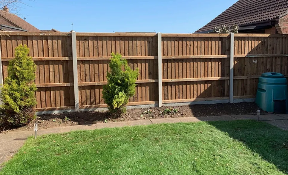 a road with trees on the side