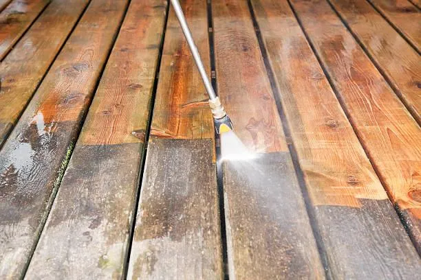 Fence Cleaning