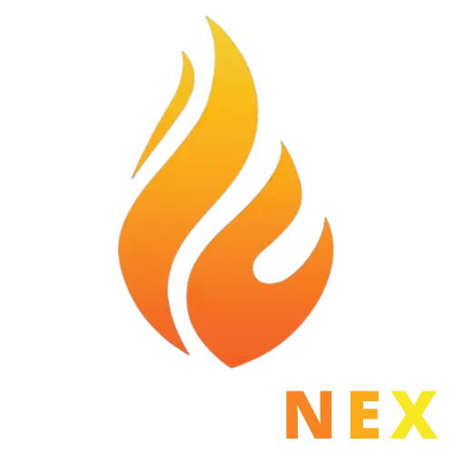 FlameNex Digital Marketing Logo