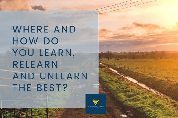 Where And How Do You Learn, Relearn And Unlearn The Best?