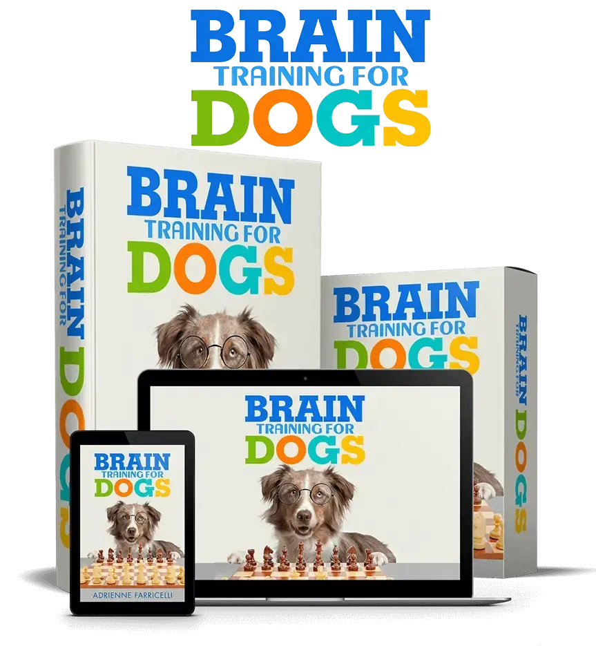 Brain Training For Dogs