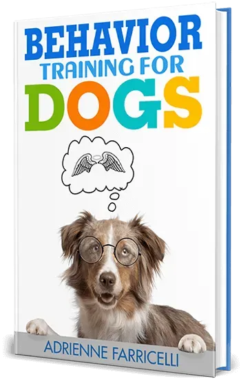 Brain Training For Dogs