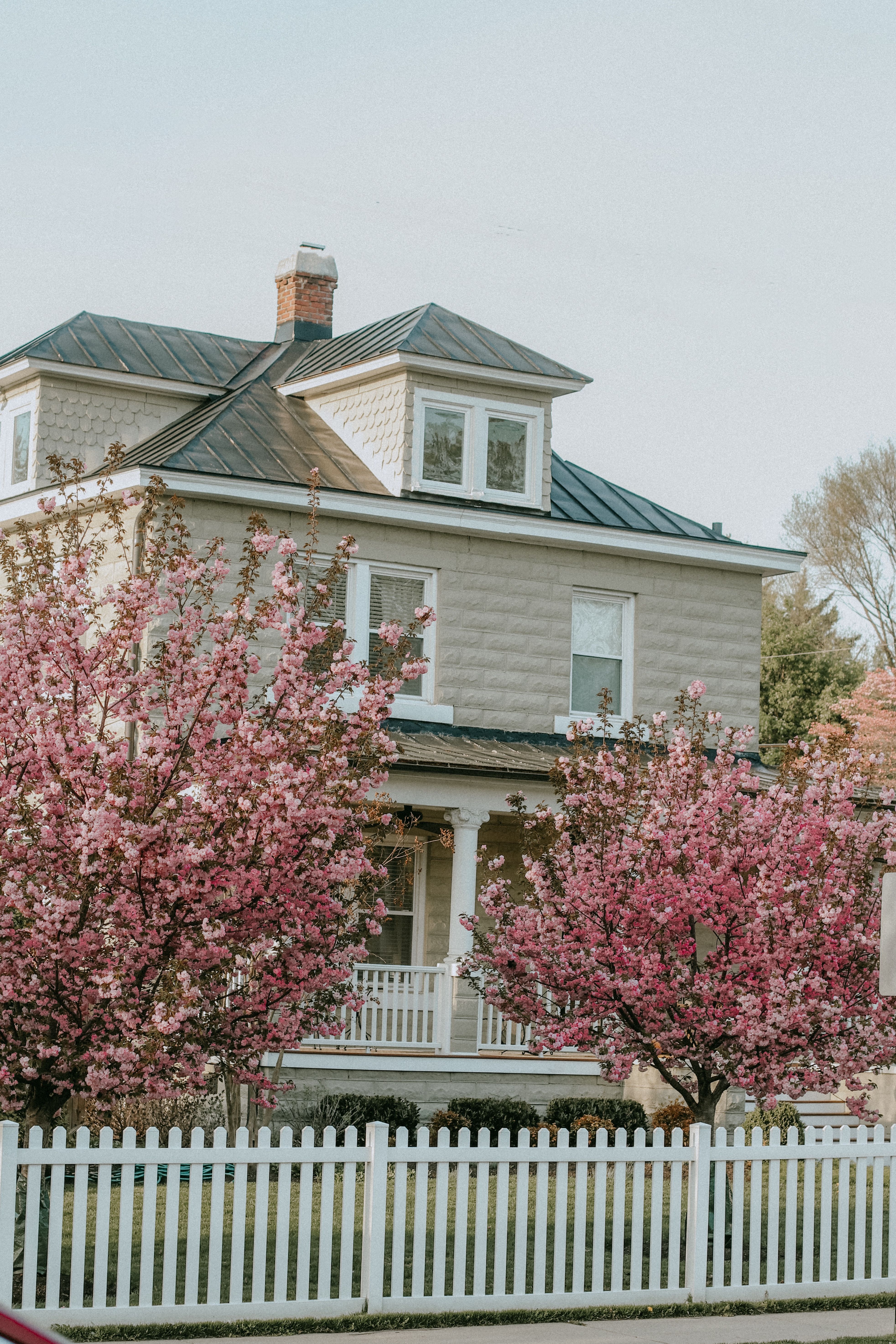 Historic Colonial Revival home on a tree lined street in the Colonial Place neighborhood of Norfolk, Virginia