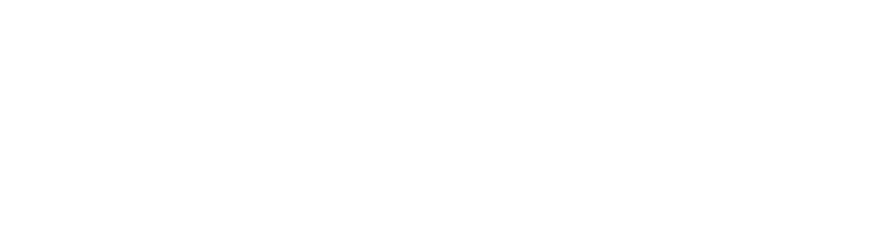 Internet Income System Logo