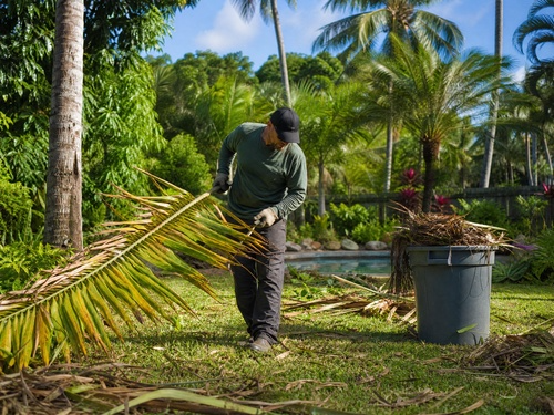 Yard Debris Removal in Winter Haven, FL