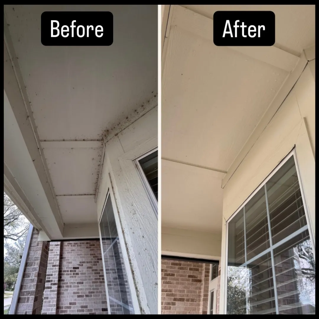 Exterior cleaning
