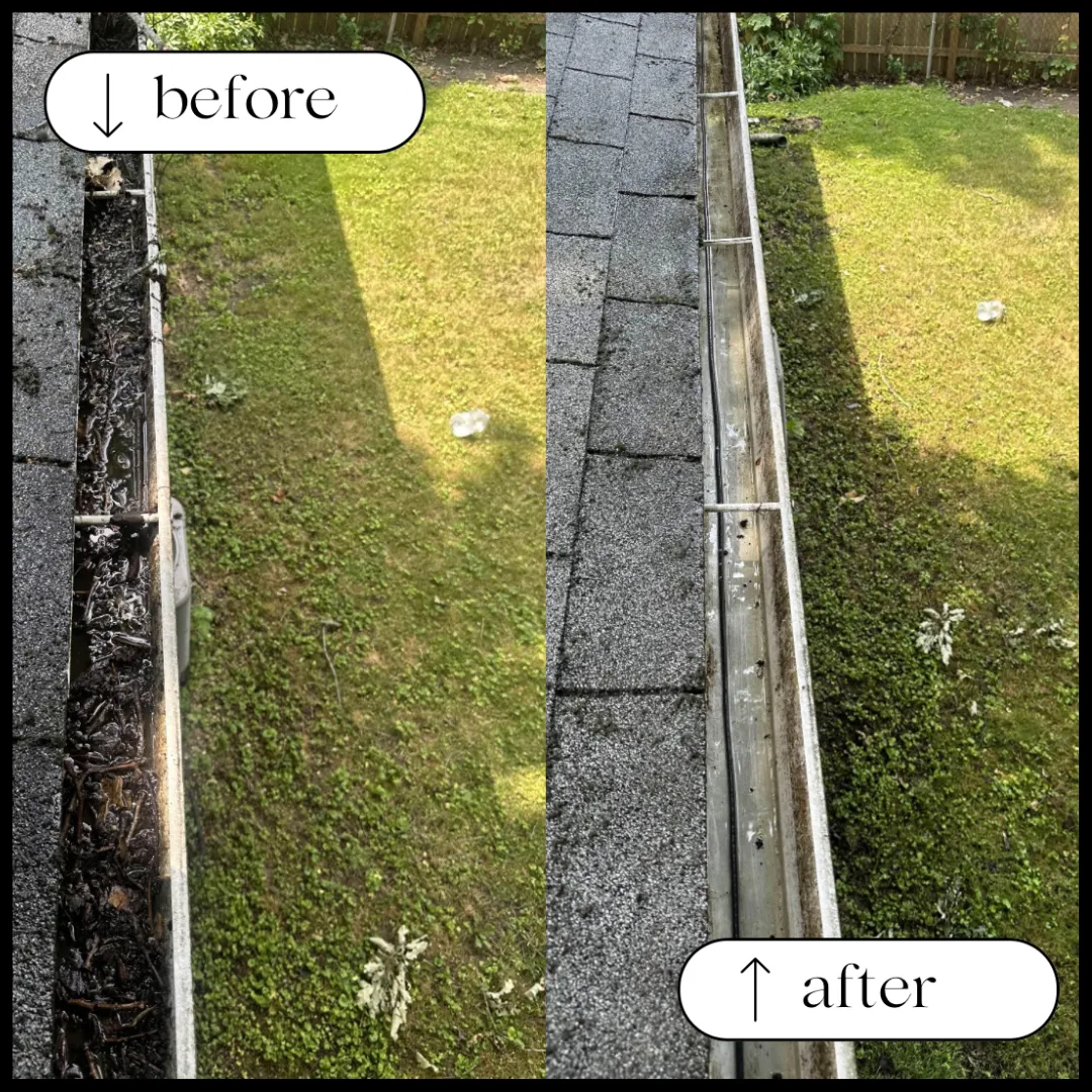 Exterior washing