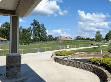 Fenced dog exercise yard at Diamond Kennels