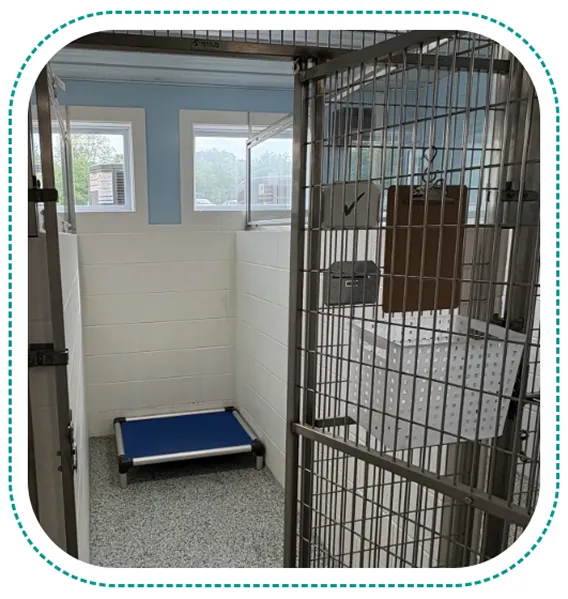 Classic Lodging for Dogs 