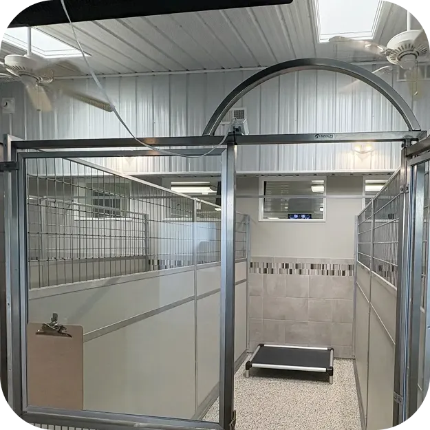 Elite Condos at Diamond Kennels