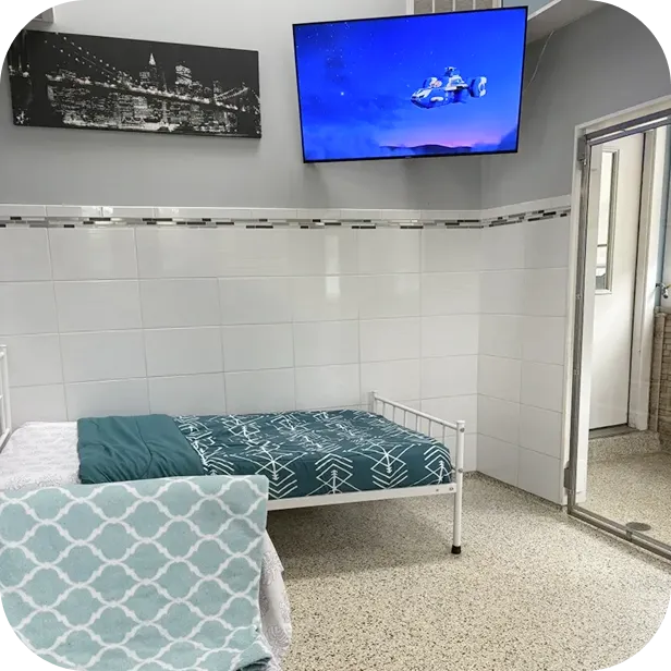 Dog Boarding Service at Diamond Kennels