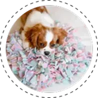 Snuffle Mats