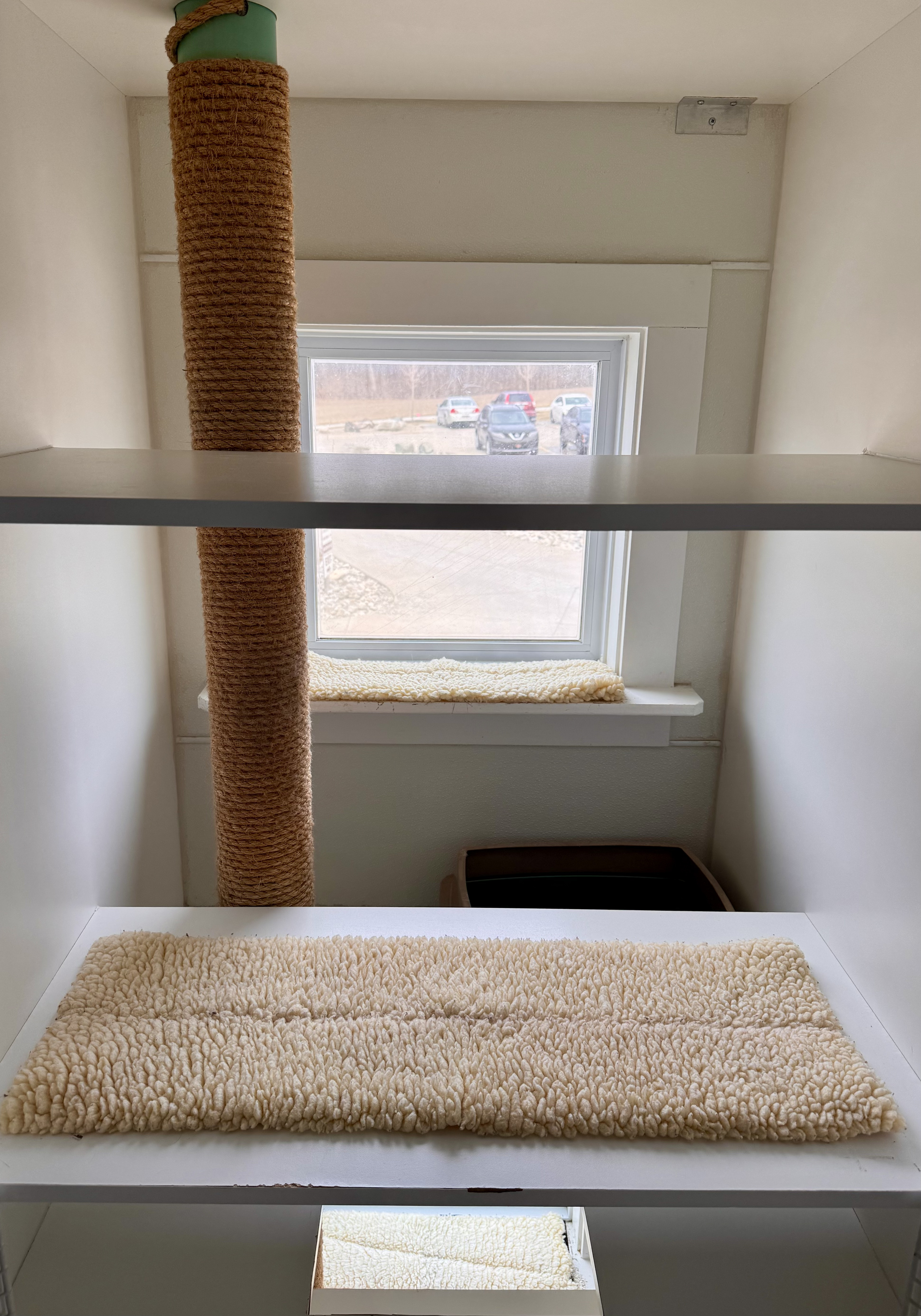 Upper Condo or Lower Condo