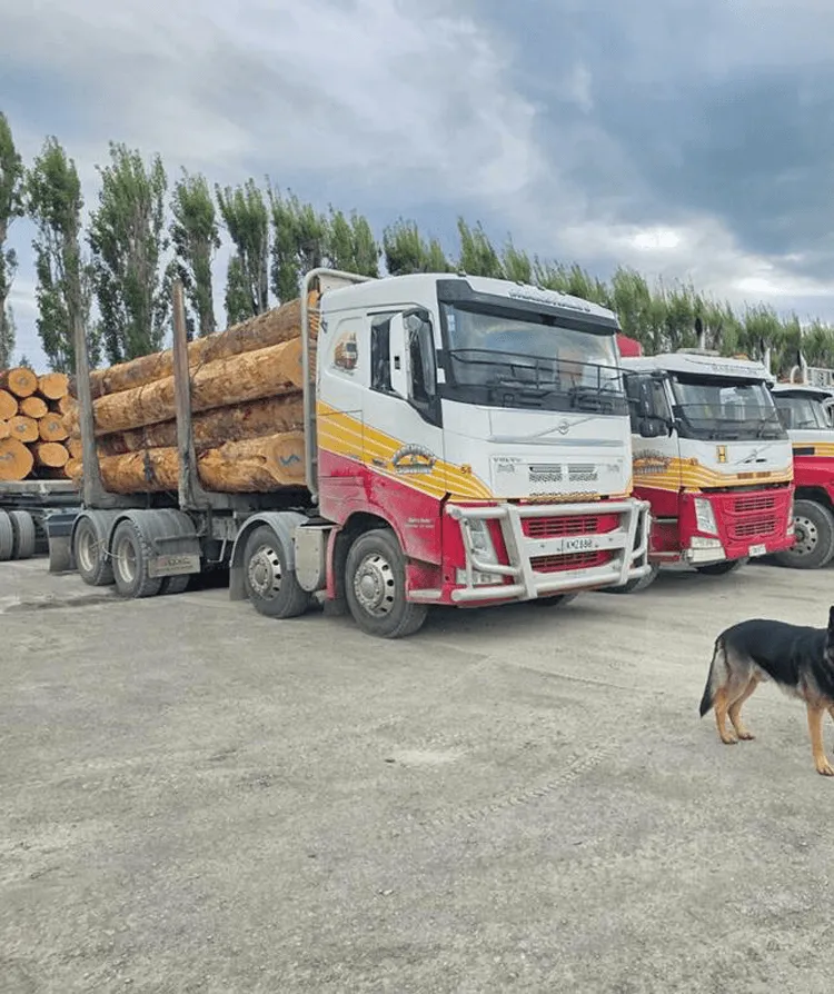 log transport southland logging trucks forestry cartage fleet