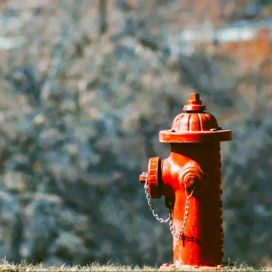 Koala excavator at a dig site with yellow tape over the dirt