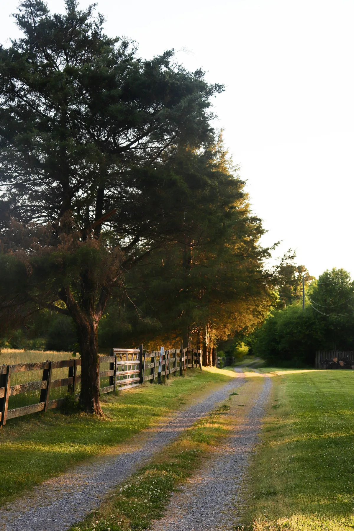 Gravel access lane curving past a timber fence and trees.