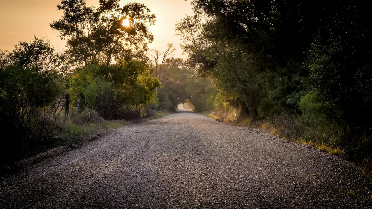 Gravel access lane bordered by trees.