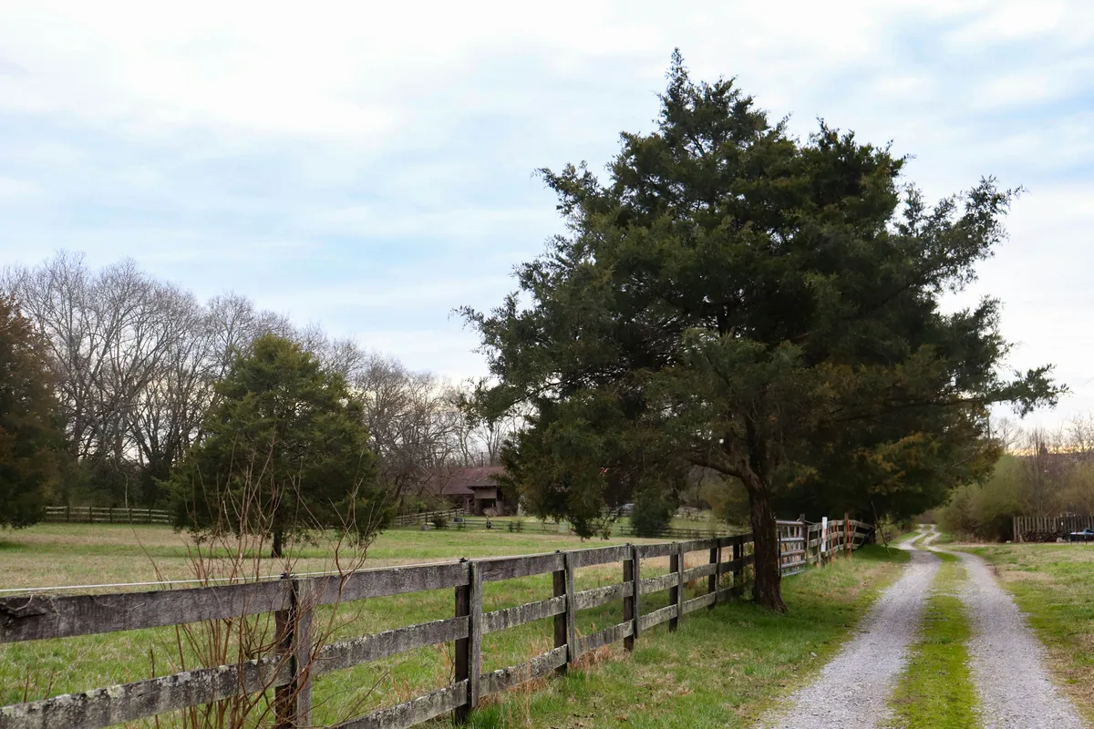 Rural gravel access lane beside a timber fence and pasture.