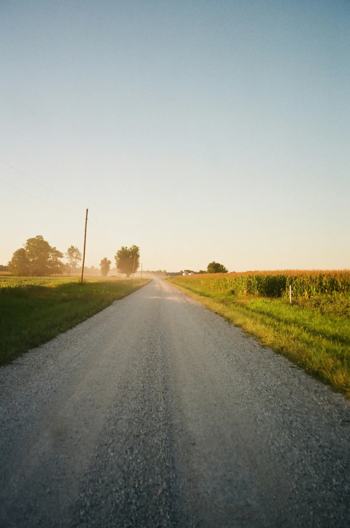 Gravel access road running beside grass and farmland in warm evening light.