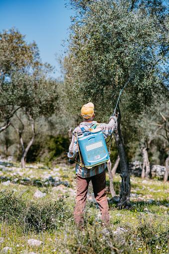 knockout pest control technician spraying a tree for pests
