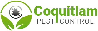 Coquitlam Pest Control business logo