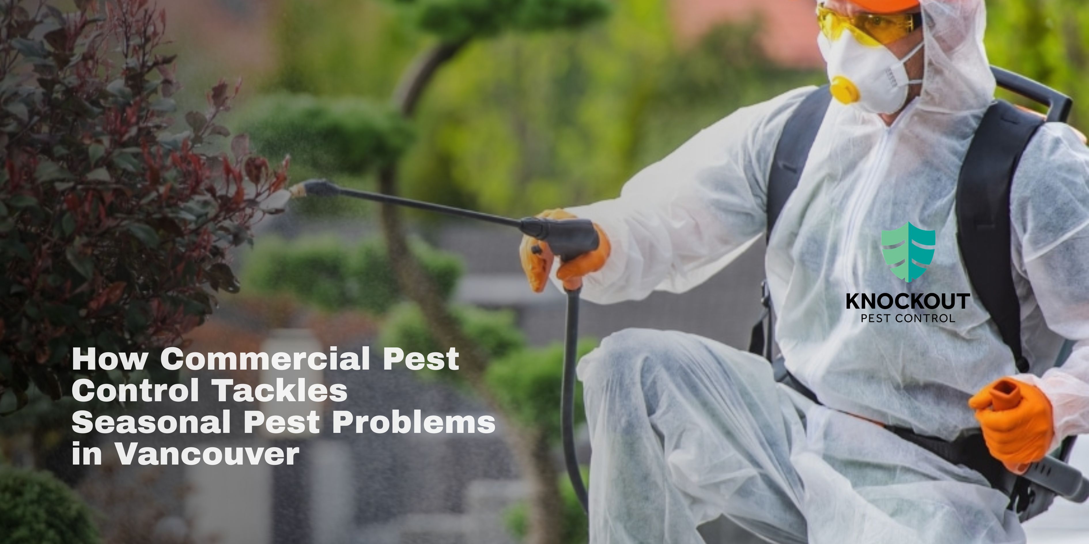 Commercial Pest Control