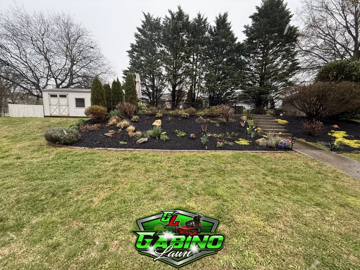 Hedge Services in Knoxville, TN