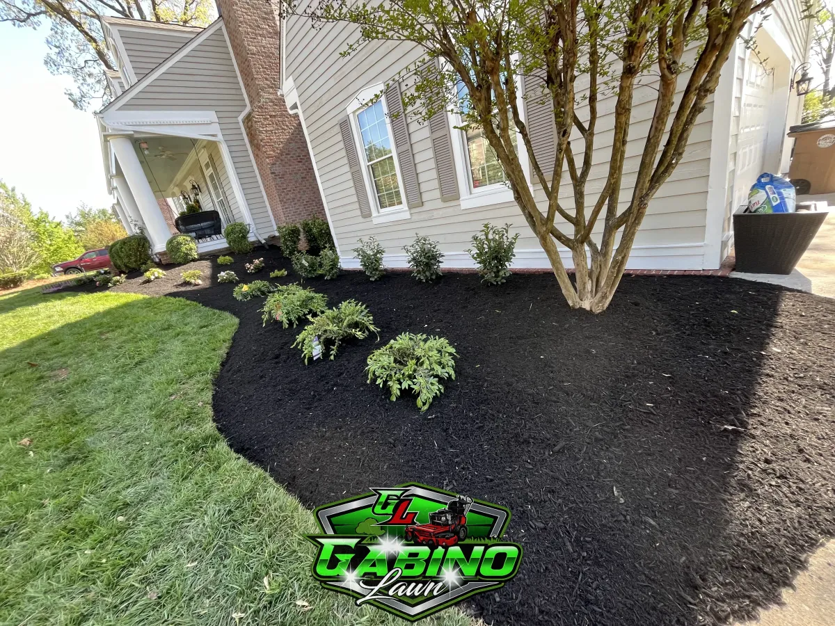 Mulching Services in Knoxville, TN