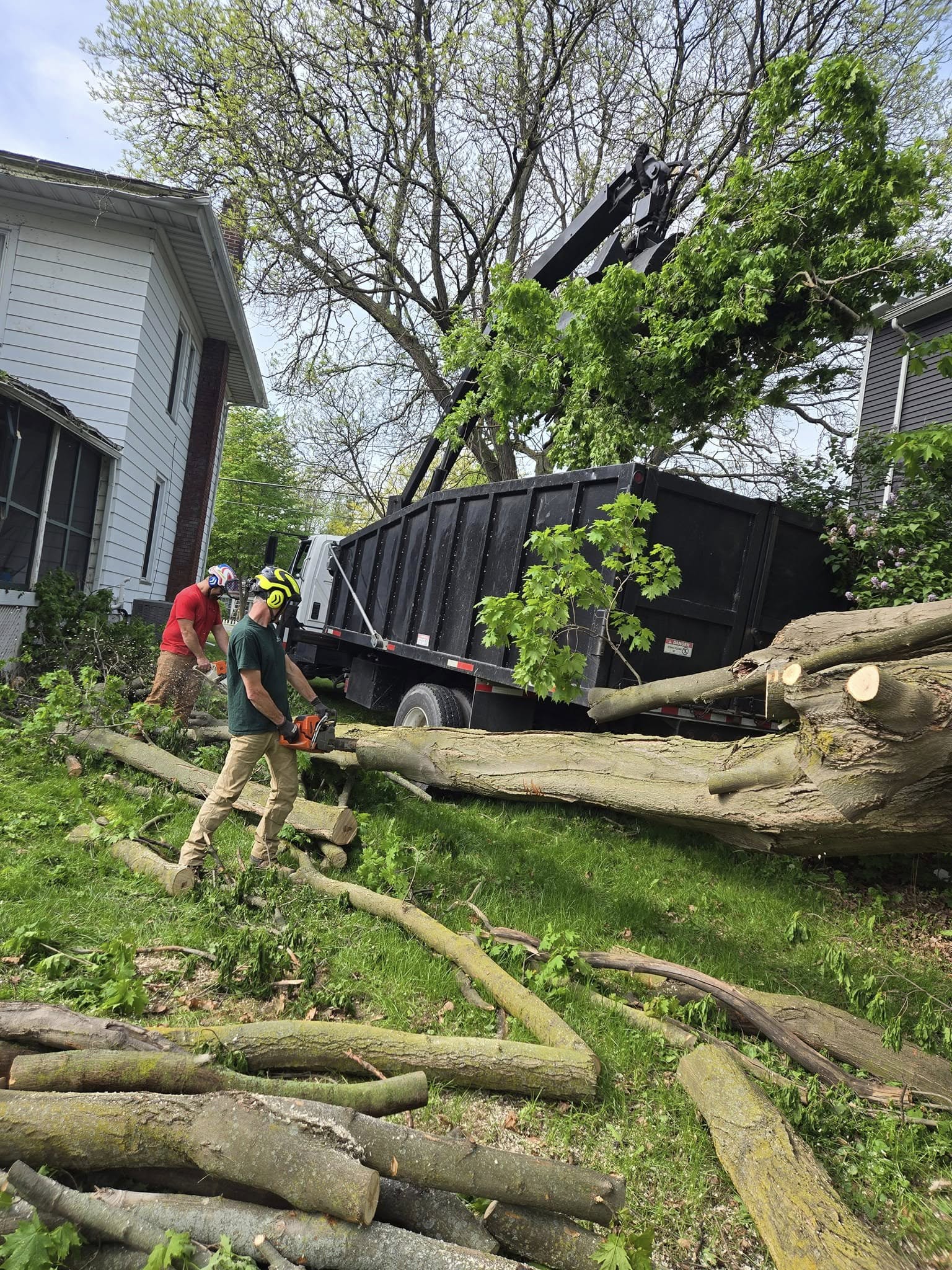 Tree Trimming & Pruning Services in Knoxville, TN