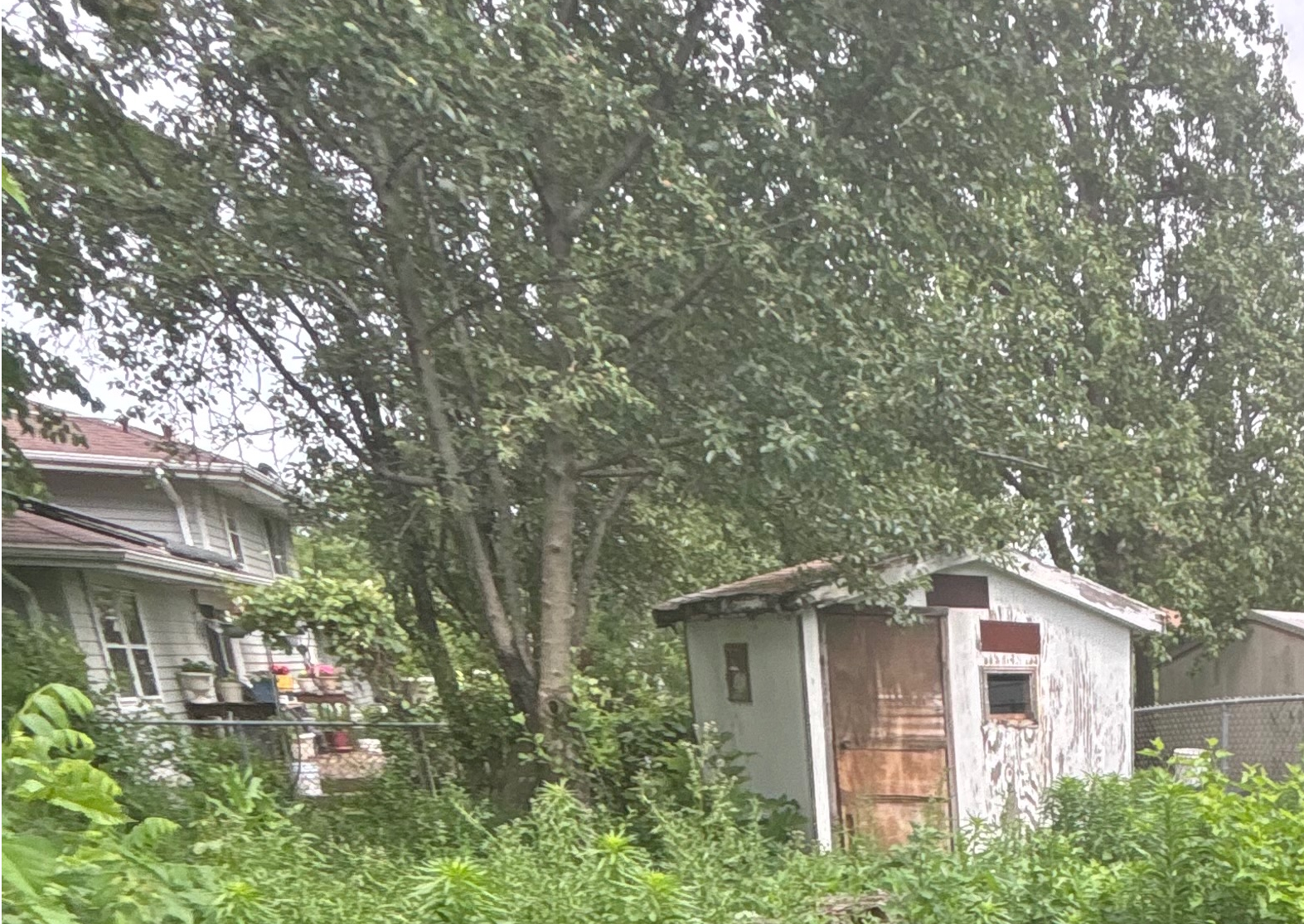 Shed in Back