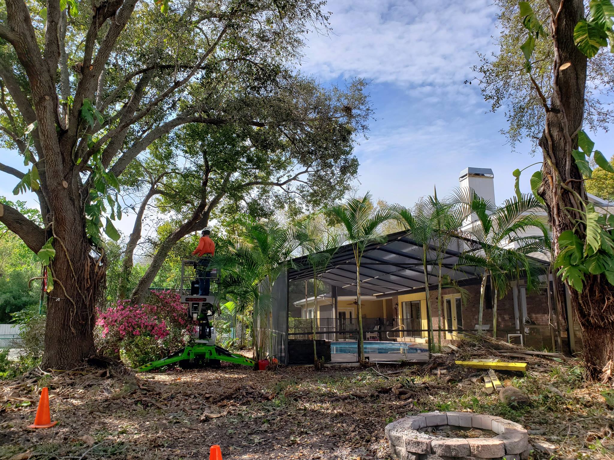 Tree Trimming Pensacola