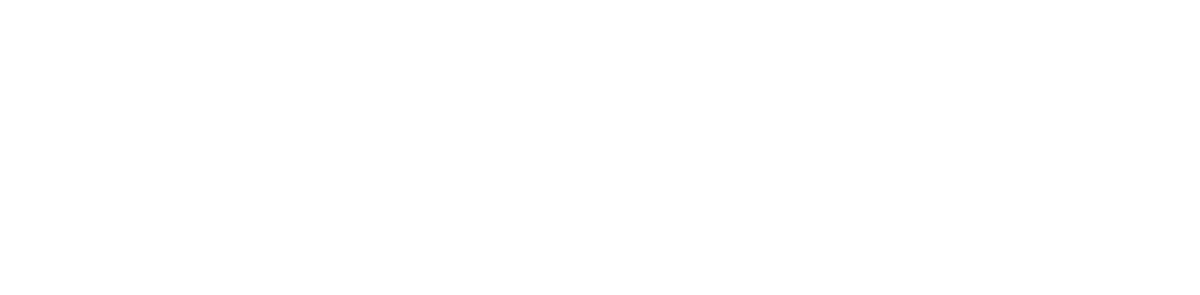 everywhen logo