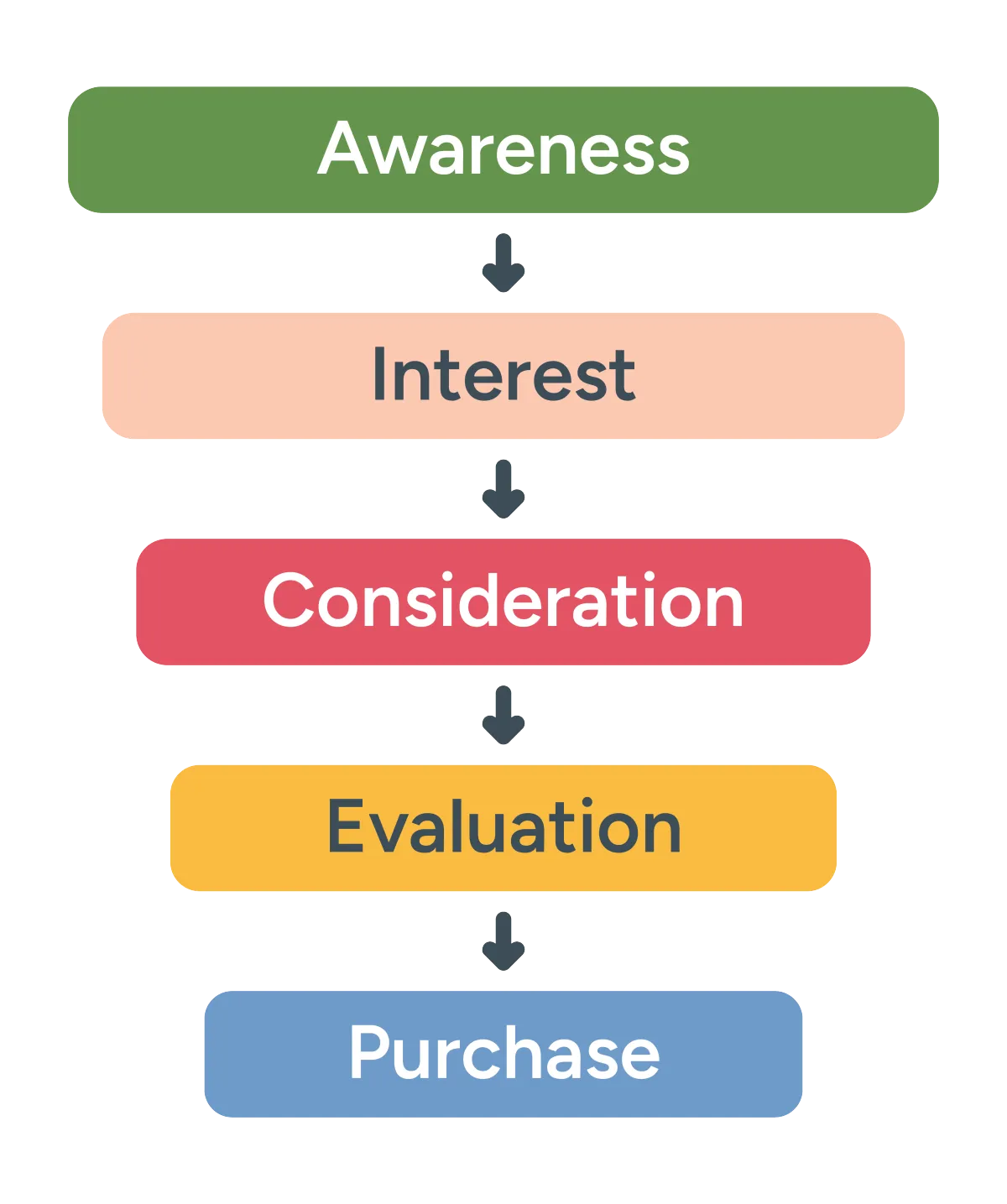 Website Design Mockup