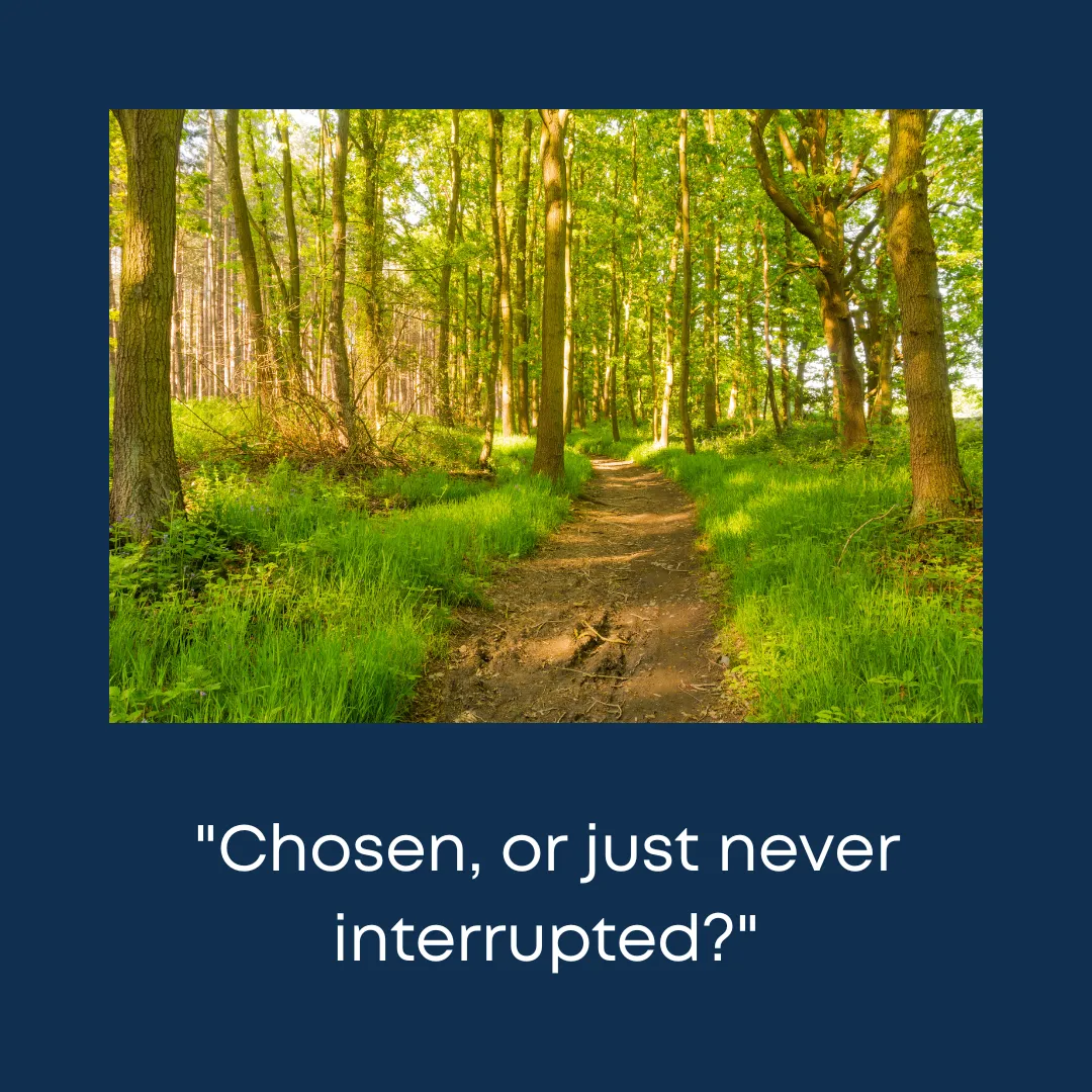 What Is Intentional Living: And Why Most People Are Living the Alternative