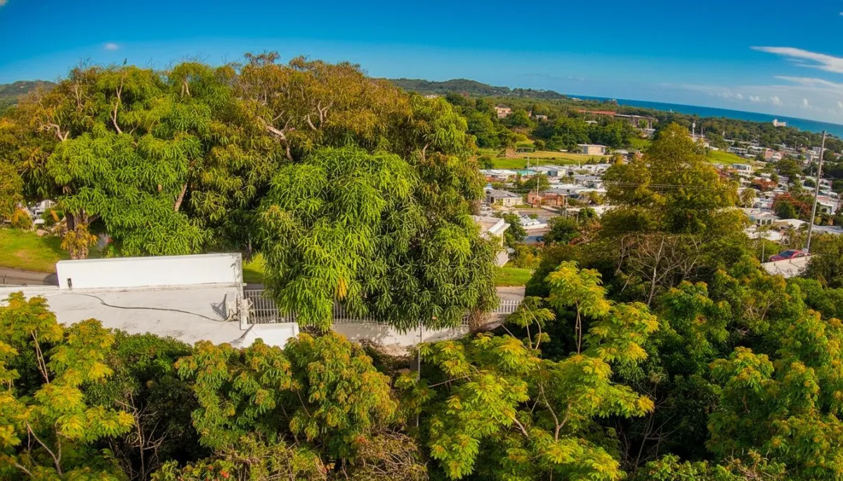 [Outdoor area or building amenity]