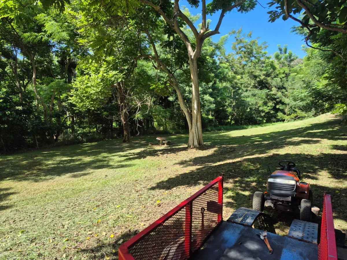 [Outdoor area or building amenity]