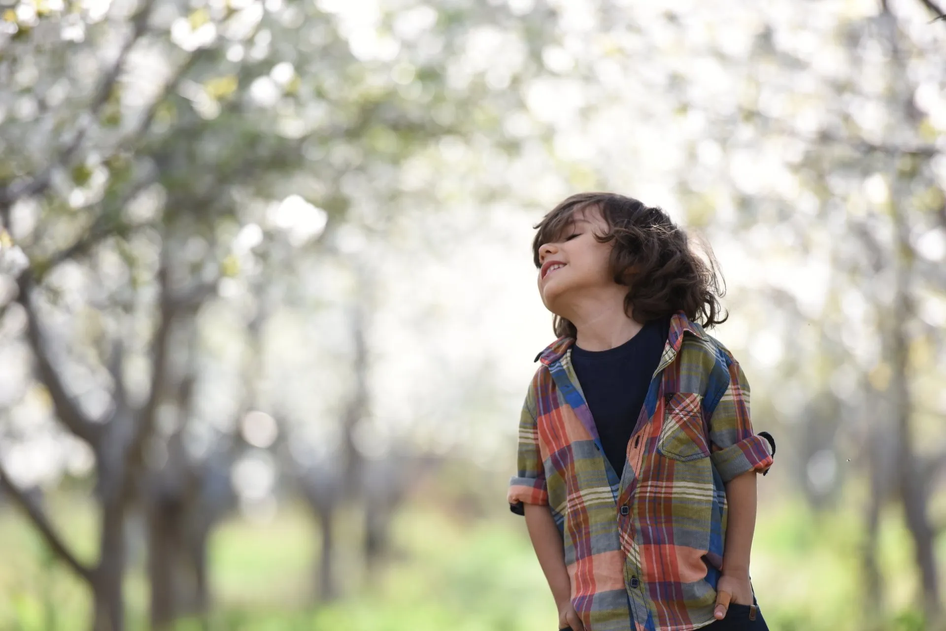 Happy boy walking in the forest