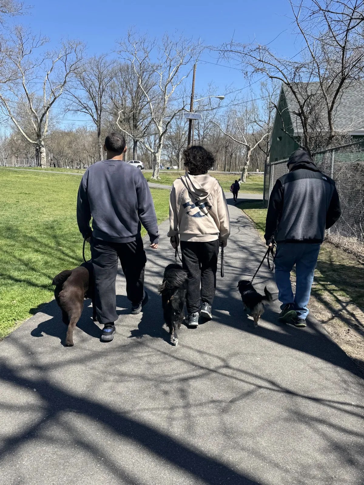 David training a dog