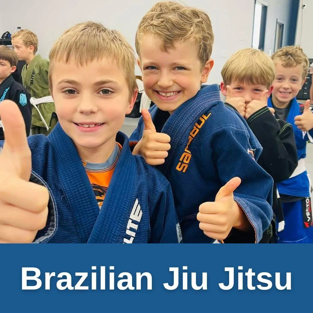 After School Program Martial Arts Classes!