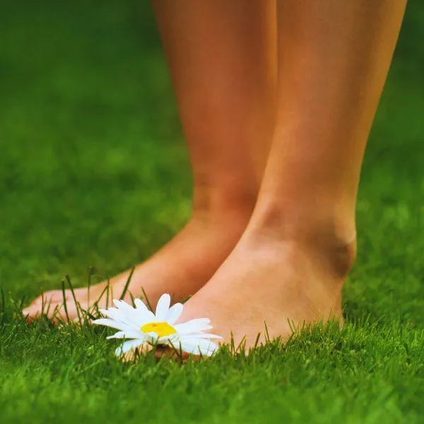 Feet standing in the grass to practice earthing to relieve EMF exposure at home